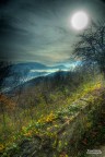 Terre_4 Terre_4