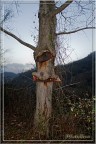 Forza Naturale - Quando la natura si ribella! Forza Naturale - Quando la natura si ribella!