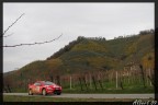 Rally Prealpi Master 09! Rally Prealpi Master 09!