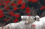Neve bianca o neve rossa? Neve bianca o neve rossa?