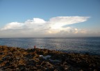 Pesca Pesca