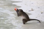 Drinking Fanta.... Drinking Fanta....
