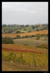 Maremma Maremma
