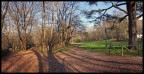 parco talon parco talon