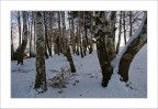 Verticali Verticali