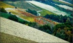 colline colline