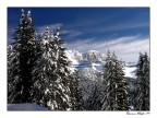 Paesaggio alpino Paesaggio alpino