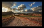 La strada del lago La strada del lago