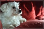 Floppy... Floppy...