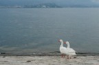 Stresa Stresa