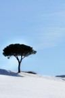 cielo azzurro cielo azzurro
