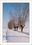 Immerso Nella Neve Immerso Nella Neve