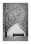 Fin dentro l'inverno Fin dentro l'inverno