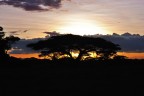 Tramonto Africano Tramonto Africano