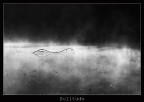 Solitude Solitude