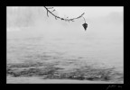 ST ST