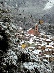 Cartolina Cartolina