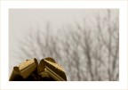Auguri... Auguri...