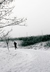 In solitaria