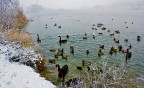 Lago