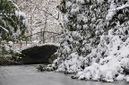 _DSC0596 _DSC0596