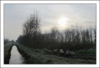 26/12/09 - h9:41 26/12/09 - h9:41