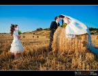 Wedding #11 Wedding #11