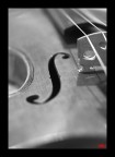 Maestro liutaio Maestro liutaio