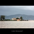Alluvione Massaciuccoli...