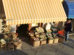 l'attesa l'attesa