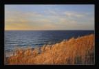 Terra e Mare Terra e Mare