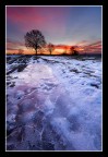 Icy sunrise Icy sunrise
