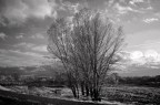 la via degli orti la via degli orti