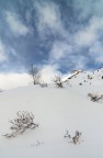 Paesaggio innevato Paesaggio innevato