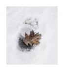 -11° -11°