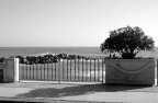 DSC05008-3