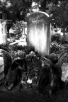 R.I.P. � un progetto iniziato da poco e che percorre i Cimiteri Italiani per raccontare con un punto di vista personale questi luoghi.
Il lavoro � realizzato completamente in analogico.

LEICA R5
Elmarit-R 50 mm. f/2
Pellicola Kodak T-Max 400
Scansione con HP Scanjet G4050