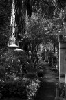 R.I.P. � un progetto iniziato da poco e che percorre i Cimiteri Italiani per raccontare con un punto di vista personale questi luoghi.
Il lavoro � realizzato completamente in analogico.

LEICA R5
Elmarit-R 50 mm. f/2
Pellicola Kodak T-Max 400
Scansione con HP Scanjet G4050