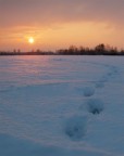 Verso il tramonto Verso il tramonto