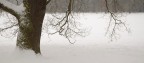 Neve al parco Neve al parco