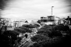 La provocazione La provocazione