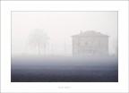 Nella nebbia