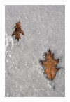 -10° -10°