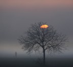 img_ 008 img_ 008