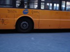 Trasporti urbani Trasporti urbani