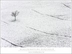 monocromatismo diagonale monocromatismo diagonale