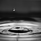 D80, 105micro @ f8, 1/200, 100 iso, flash+softbox autocostruita