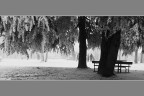 Al parco Al parco