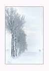 paesaggio paesaggio