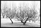 Inverno, in chiave alta. Inverno, in chiave alta.